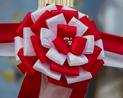 Traditional Japanese ribbon for opening ceremony